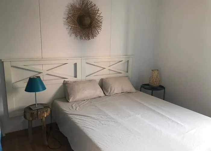 *jolie Maison Proche Et Marin, Avec Piscine, Tennis A Plage* 苏斯通